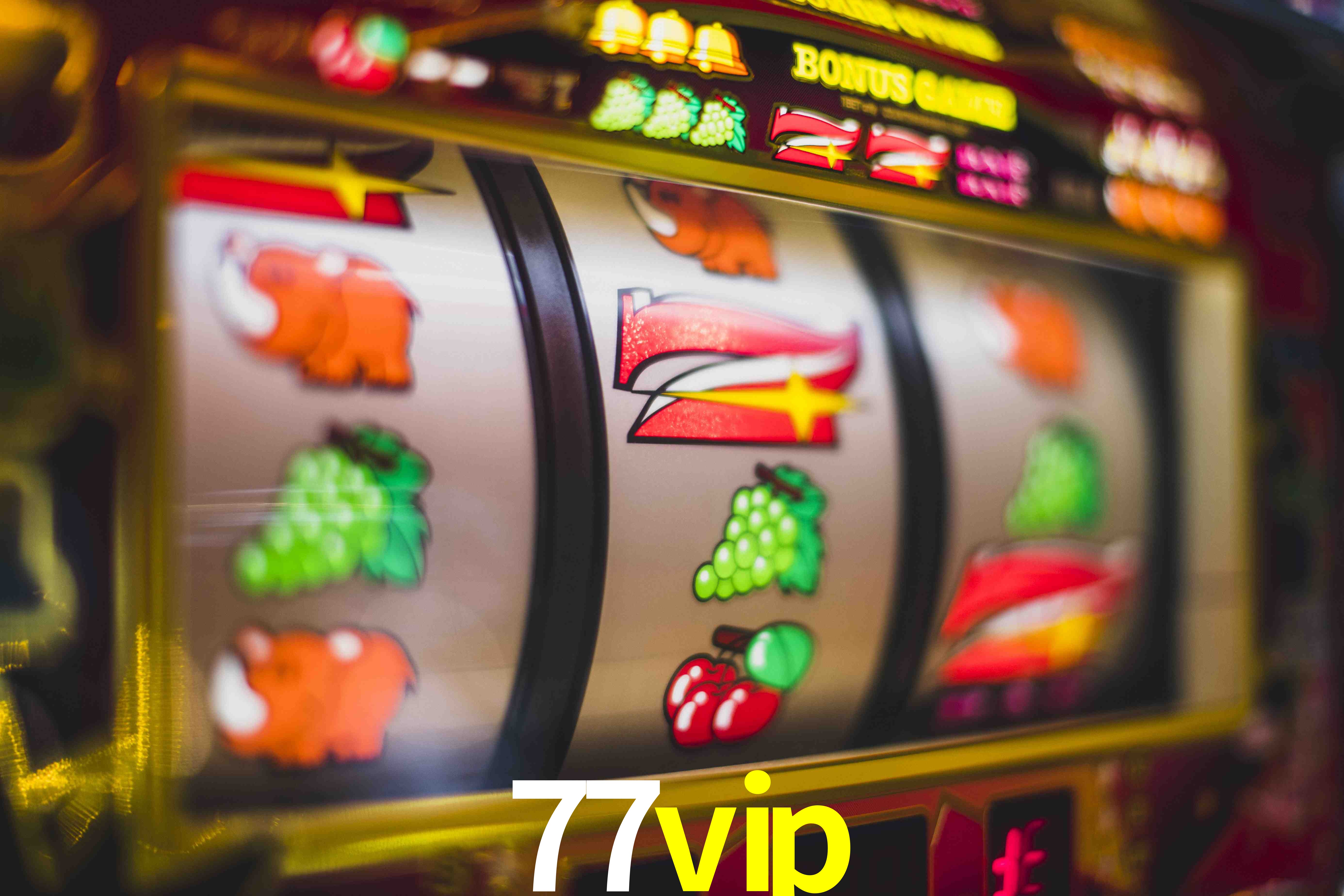 Statistics 77vip